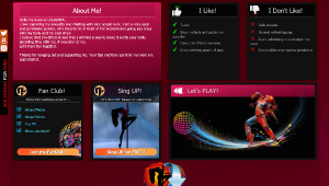 Desen 20 - profil VideoChat deja creat