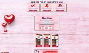 Design 87 - Chaturbate BIO profile already created