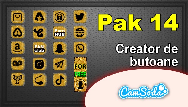 CamSoda - Pak 14 - Generator de butoane și pictograme social media