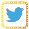 twitter-sup17-Top-Social-Icon