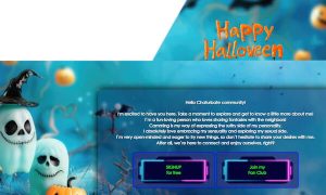 Design 128 - Chaturbate BIO profile already created