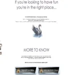 Design 142 – Chaturbate BIO profile already created